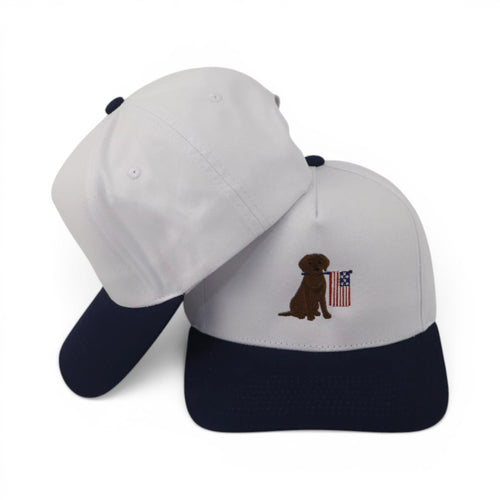 American Lab - White/Navy