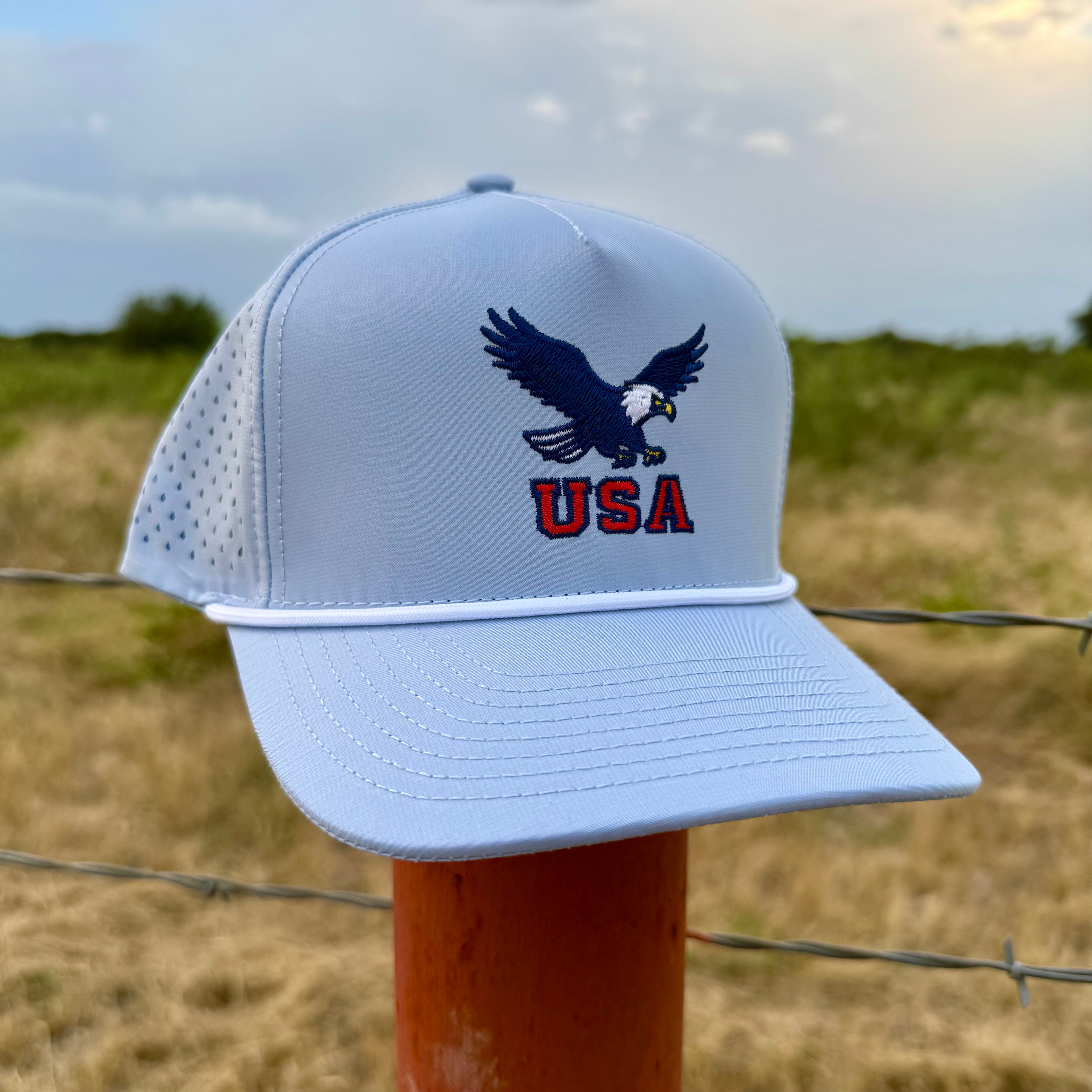 USA Bald Eagle - Light Blue