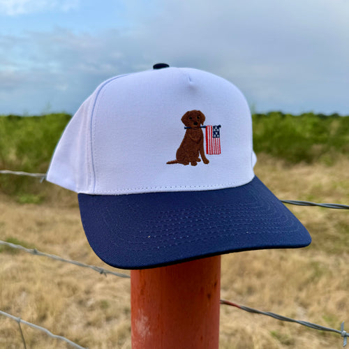 All-American Lab - White/Navy
